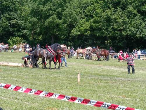 IMG_20260523_141338